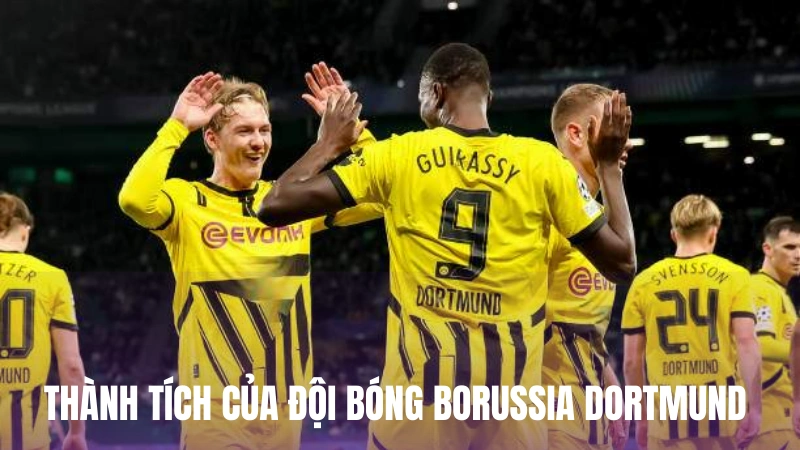 Thành tích của đội bóng Borussia Dortmund trong quá khứ