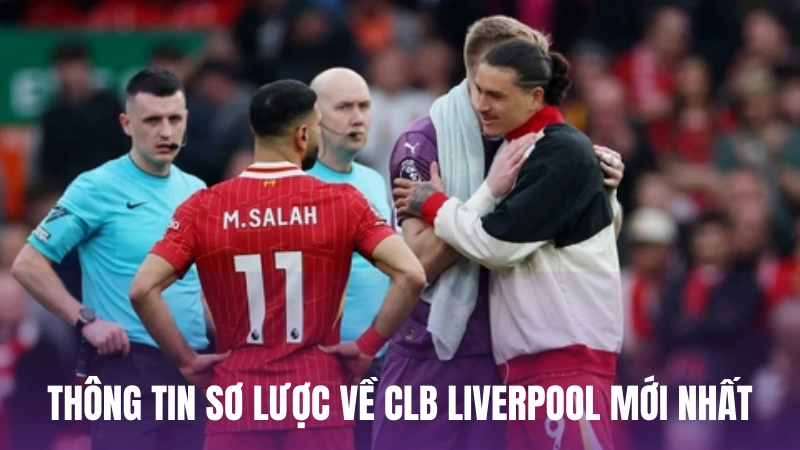 Thông tin sơ lược về CLB Liverpool mới nhất